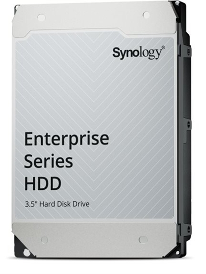 Picture of Dysk serwerowy Synology HAS5320-24T dysk twardy 24 TB 7200 RPM 1000 MB 3.5" SAS3