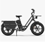 Изображение Elektriskais kravas velosipēds FIIDO T2 Longtail Cargo, pelēks