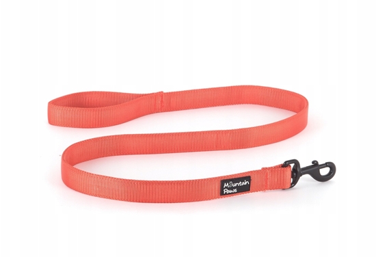Изображение Etat Libre dOrange Extra Tough Dog Lead, Orange