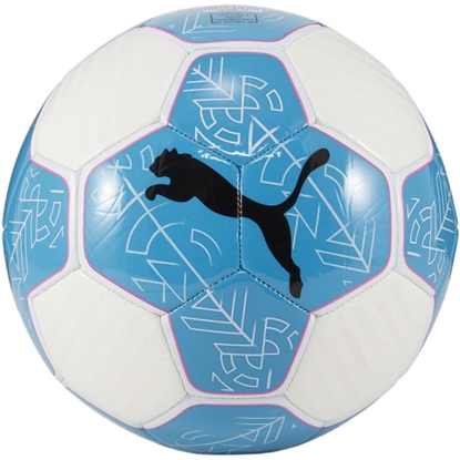 Picture of Futbola bumba Puma Prestige football 83992 12 - 4