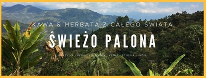 Изображение Kawa ziarnista wieo Palona Kawa ziarnista wieo palona Ale Owoc! Guatemala Santa Barbara Przefiltrowana 250g