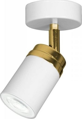 Attēls no Lampa sufitowa Dekoracja domu Nowoczesny plafon biao zota Reno spot