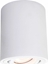 Attēls no Lampa sufitowa Light Prestige Oprawa Tulon natynkowa biala (LP-5441/1SM WH) - Light Prestige