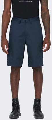Picture of Malizia Spodenki Dickies Everyday Blue Bone