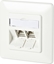 Attēls no Metz Connect C6Amodul 2 Port 180°M UP-Dose, reinweiß RAL9010