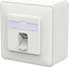 Picture of Metz Connect E-DAT C6A LSA++ Dose, 1 Port, AP, verkehrsweiß
