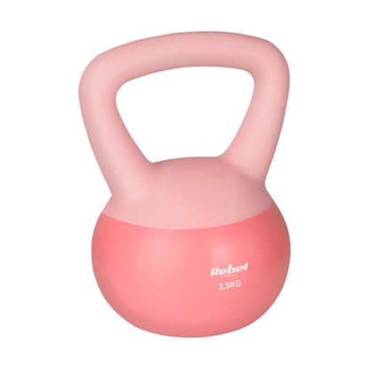 Picture of Mīksts vinila svaru bumbas svars 2,5 kg REBEL ACTIVE