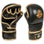 Picture of MMAsparring cimdi M - Aureos - Valor Series - L