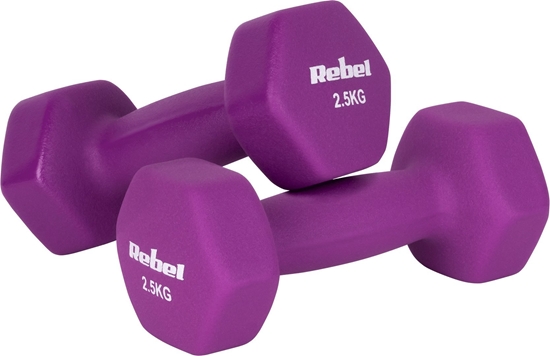 Picture of Rebel Active Hantle RBA-2330-2.5 neoprenowe 2 x 2.5 kg
