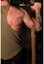 Picture of Sveltus Push and pull bar 2610 set