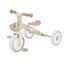Изображение Tricycle/balance bike LEARNING TRIKE 2in1 PLUS ECOLOGIC (737-466)